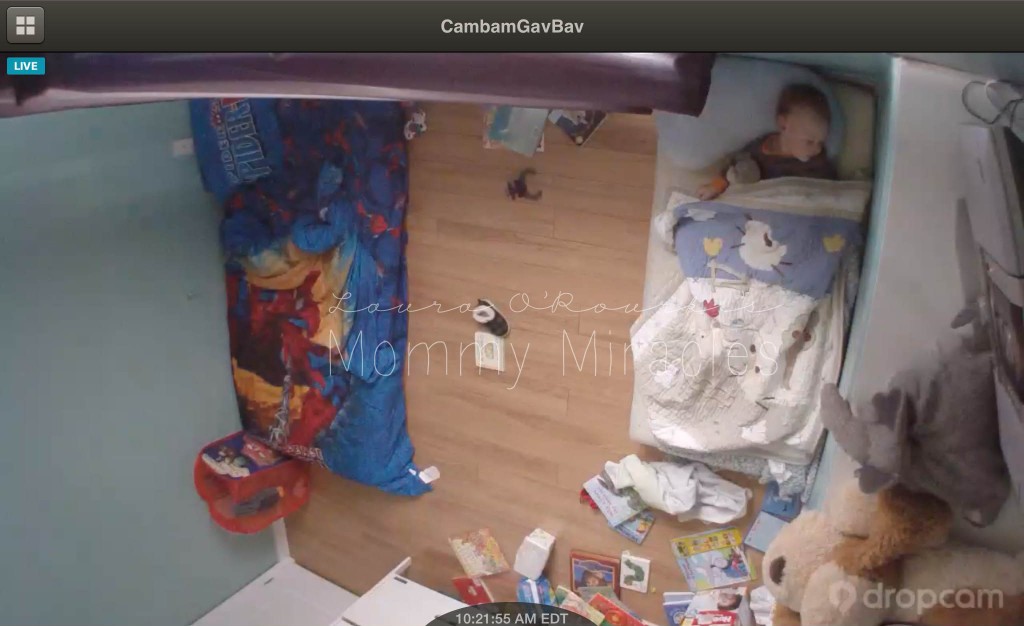 Dropcam video monitor