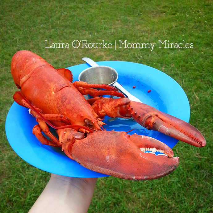 Lobster lunch summer adventure