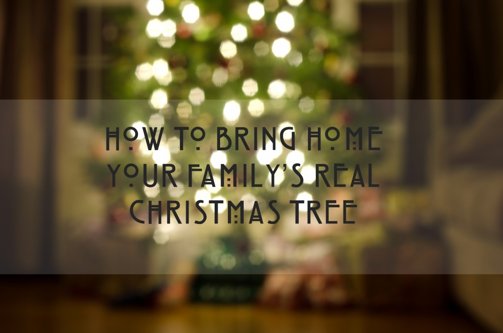 How To Bring Home Your Family's Real Christmas Tree